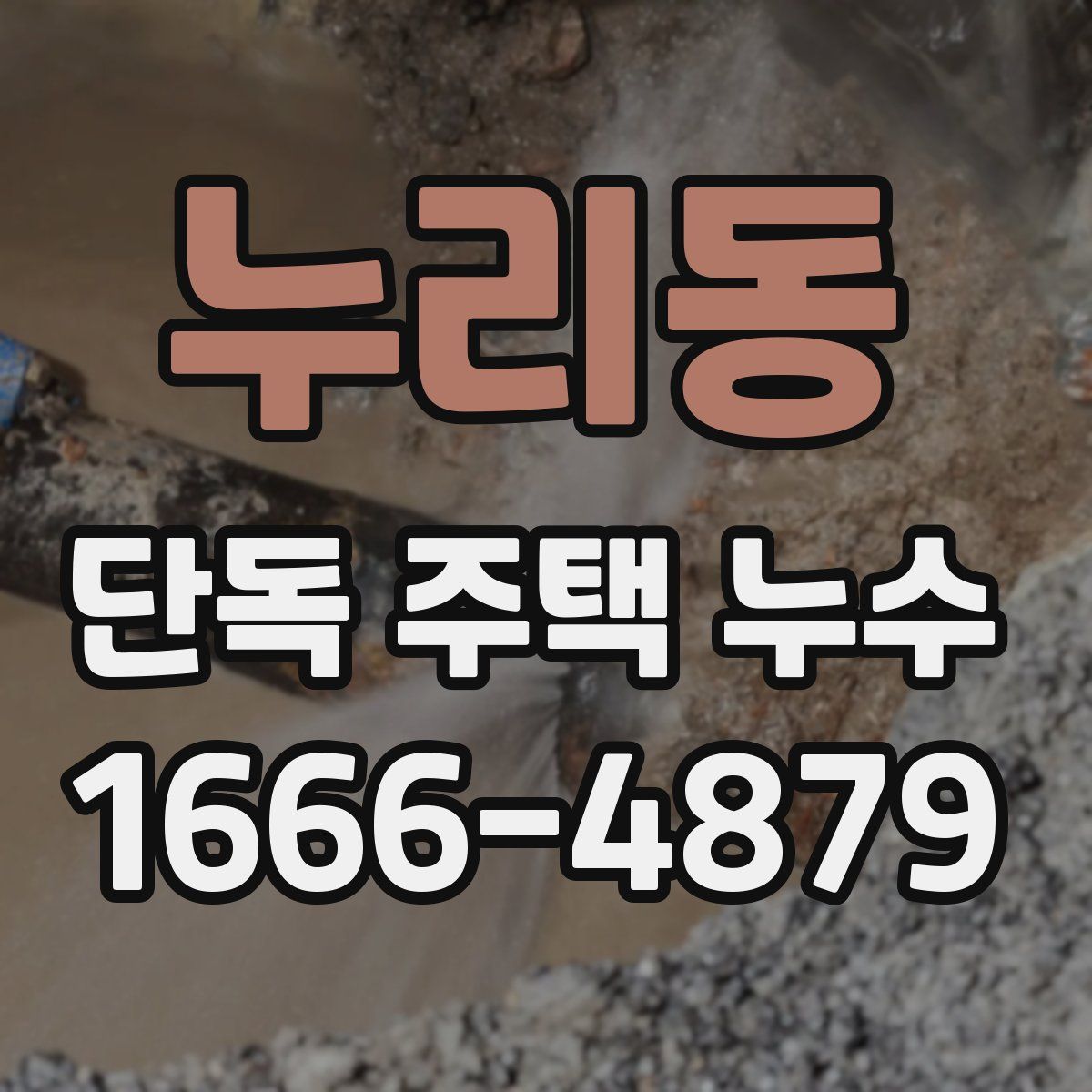누리동 단독 주택 누수