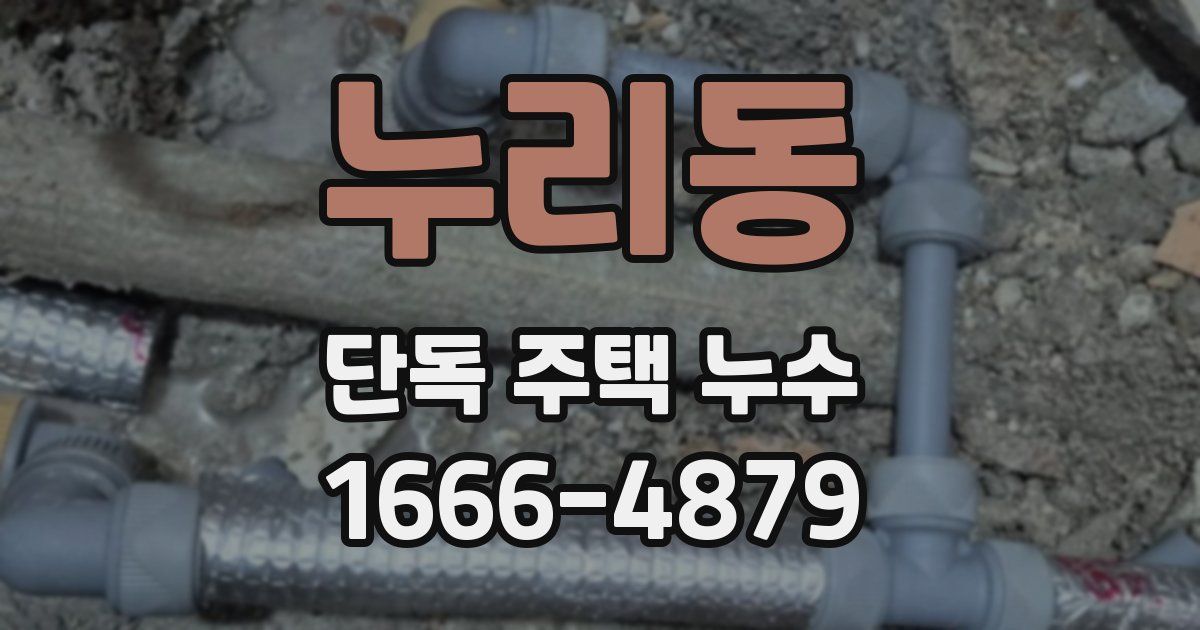 누리동 단독 주택 누수