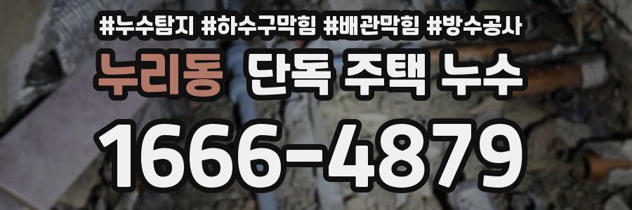 누리동 단독 주택 누수