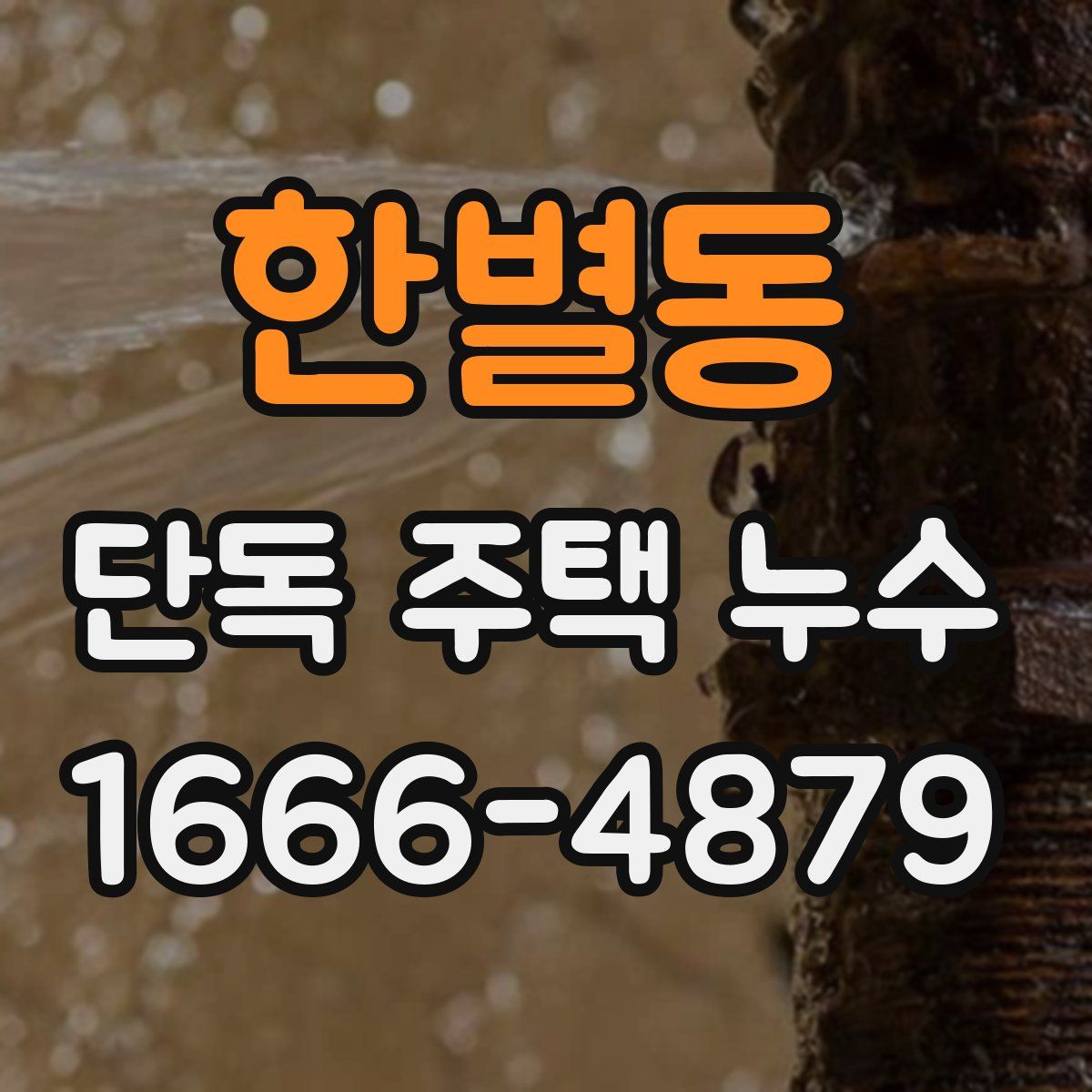 한별동 단독 주택 누수