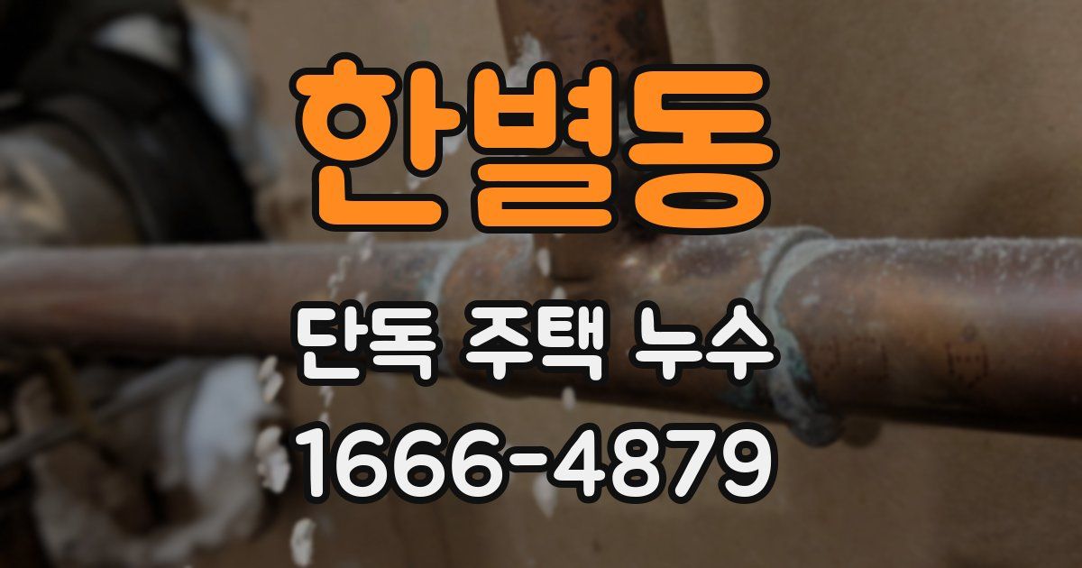 한별동 단독 주택 누수