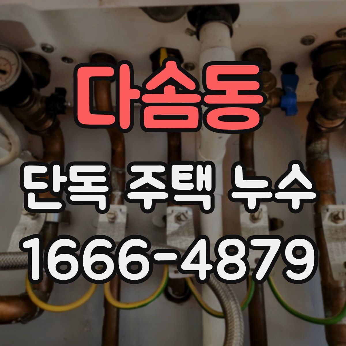 다솜동 단독 주택 누수