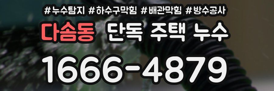 다솜동 단독 주택 누수