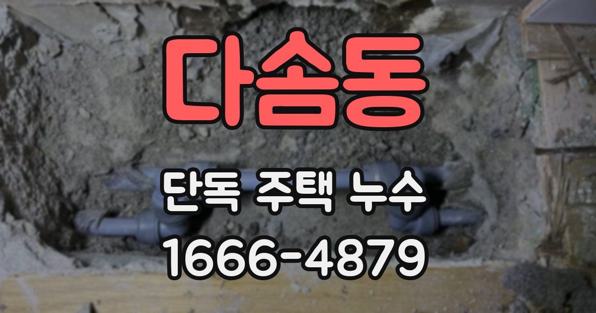 다솜동 단독 주택 누수