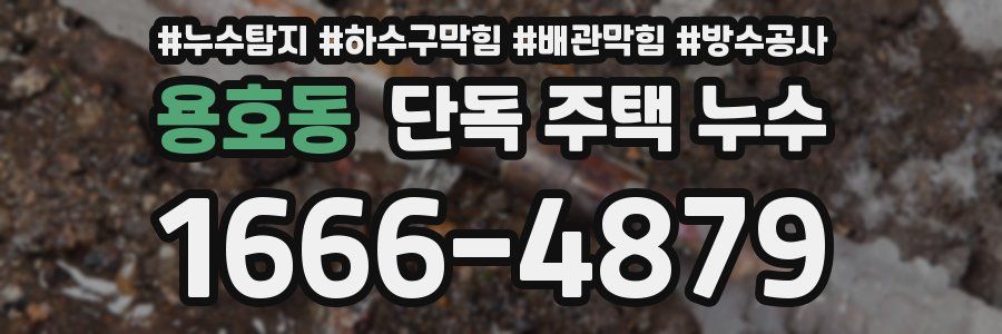 용호동 단독 주택 누수