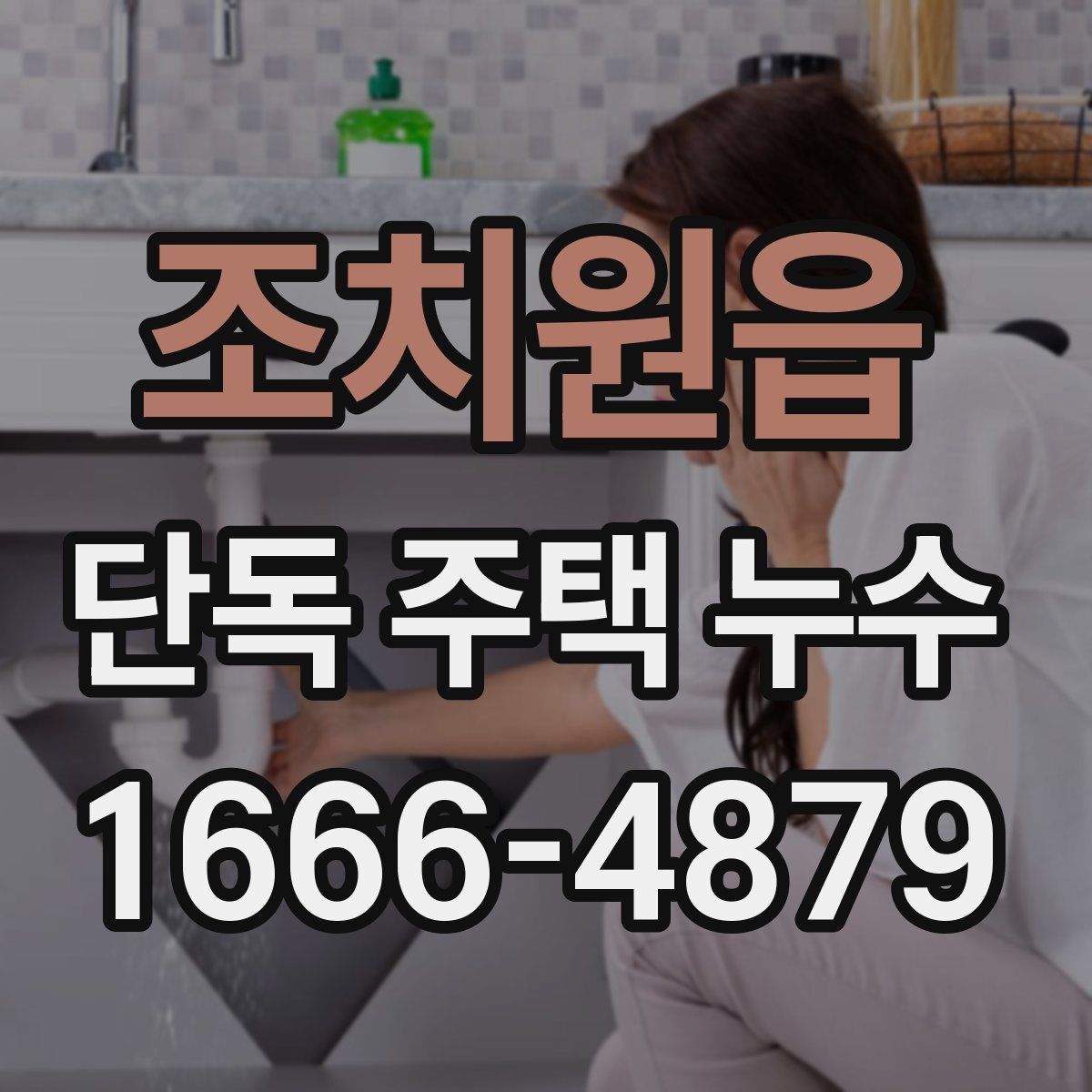조치원읍 단독 주택 누수