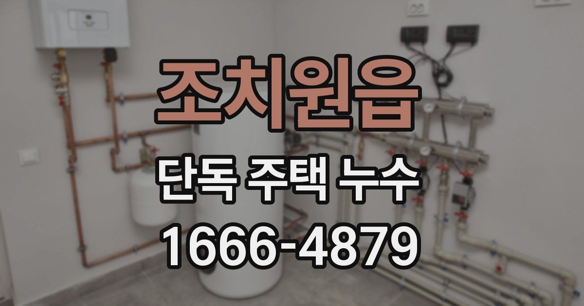 조치원읍 단독 주택 누수