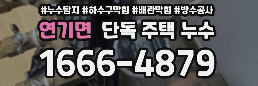 연기면 단독 주택 누수