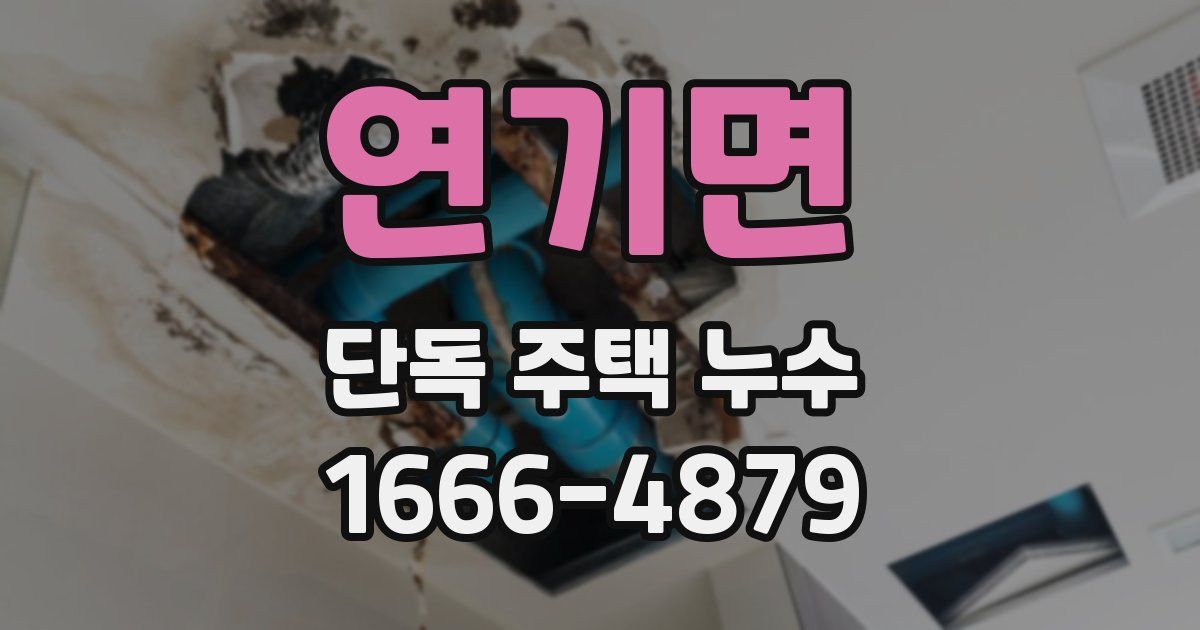 연기면 단독 주택 누수