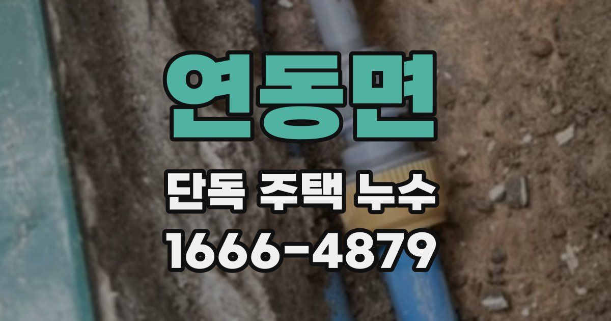 연동면 단독 주택 누수