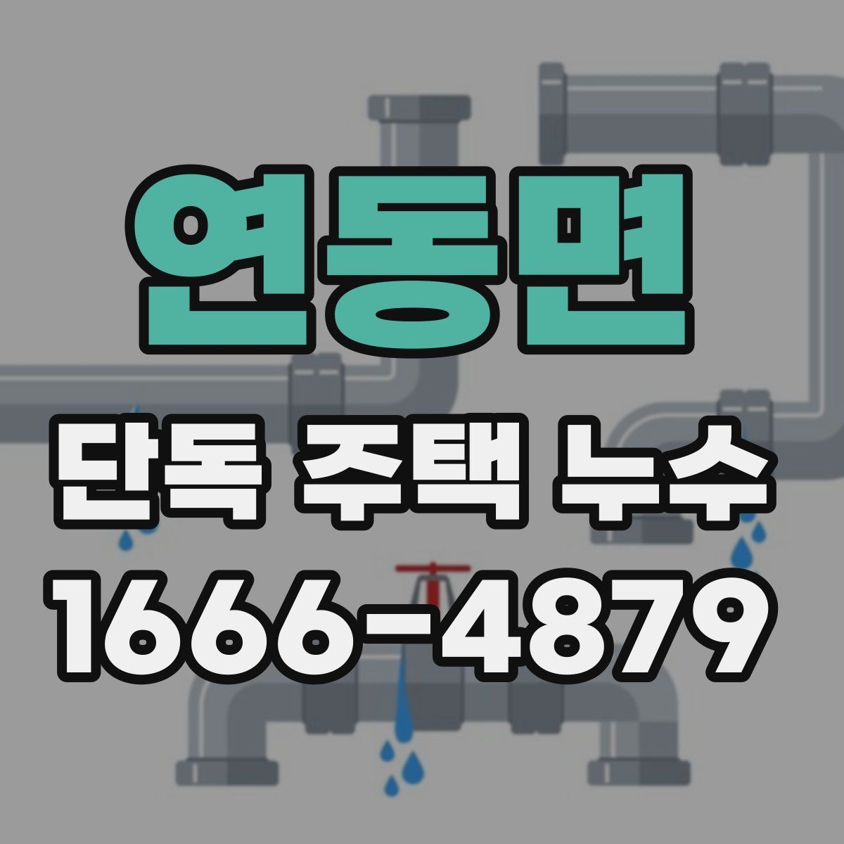 연동면 단독 주택 누수