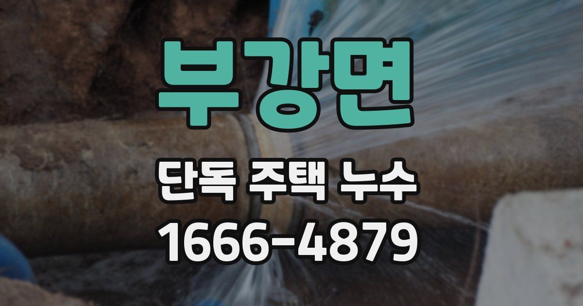 부강면 단독 주택 누수