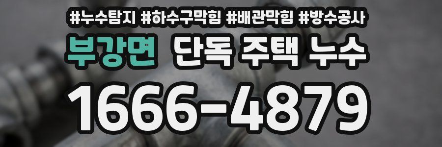 부강면 단독 주택 누수