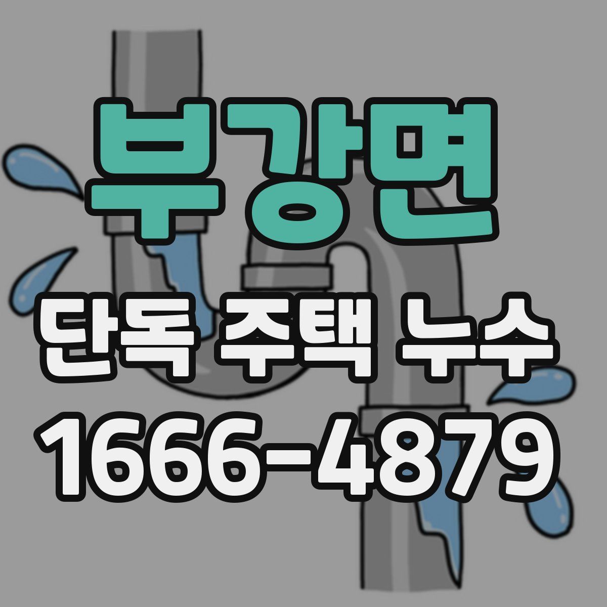 부강면 단독 주택 누수