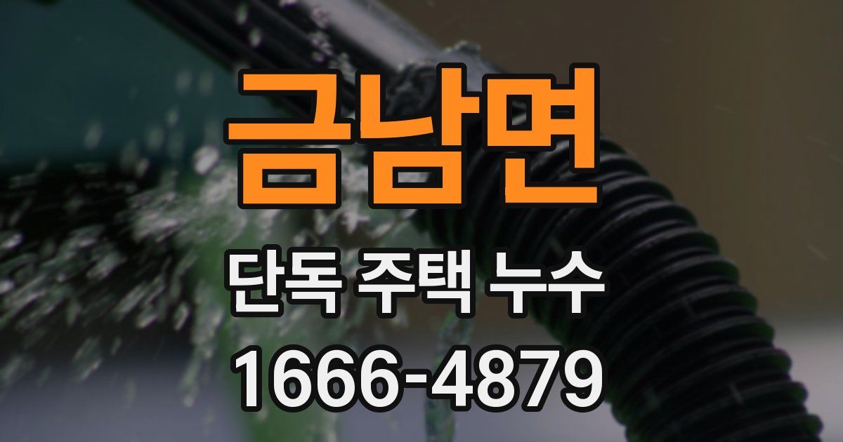 금남면 단독 주택 누수