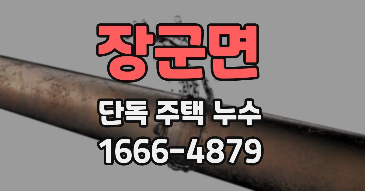 장군면 단독 주택 누수
