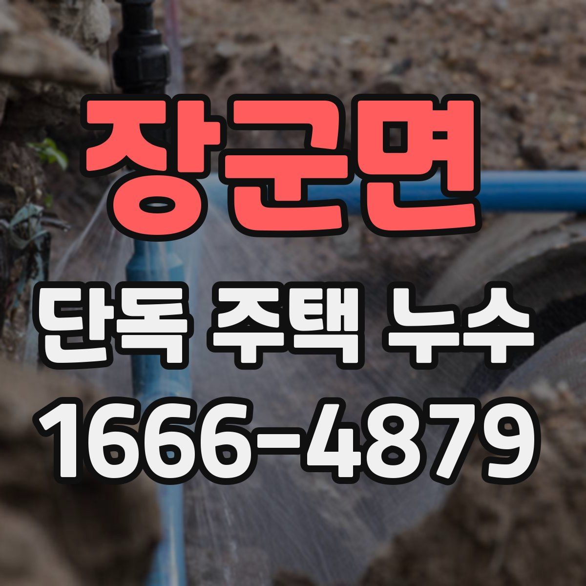 장군면 단독 주택 누수
