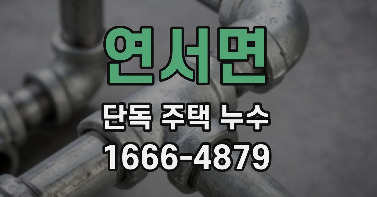 연서면 단독 주택 누수