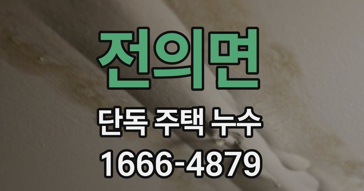 전의면 단독 주택 누수
