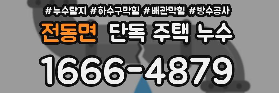 전동면 단독 주택 누수