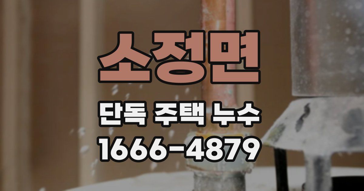 소정면 단독 주택 누수