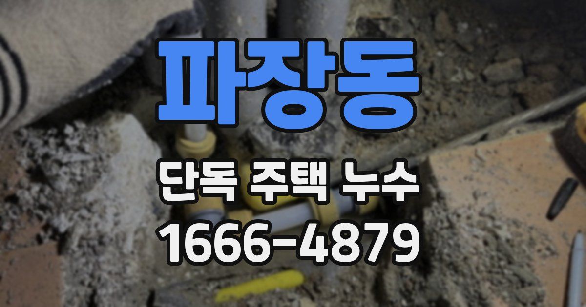 파장동 단독 주택 누수