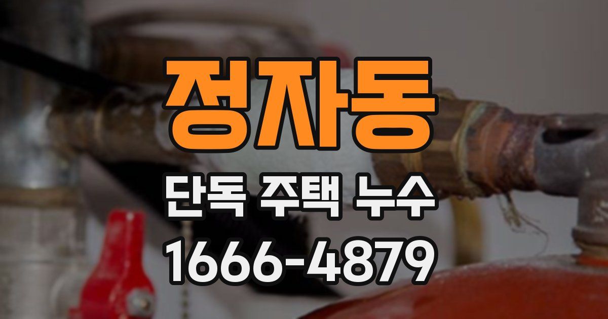 정자동 단독 주택 누수