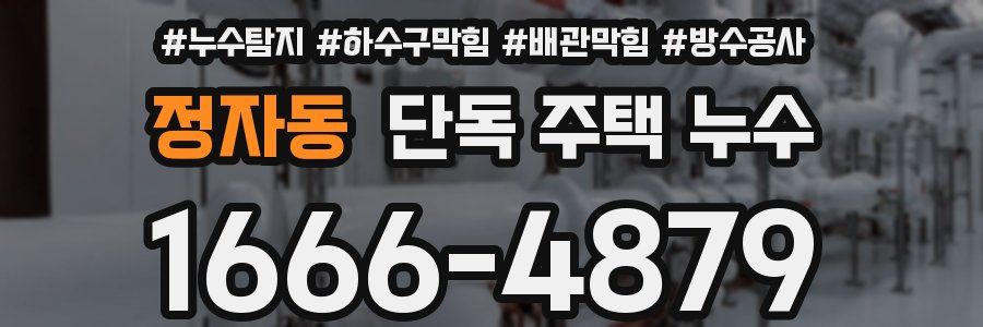 정자동 단독 주택 누수