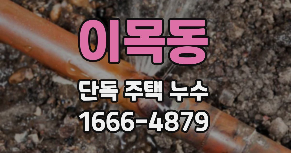 이목동 단독 주택 누수