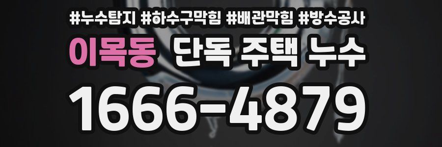 이목동 단독 주택 누수