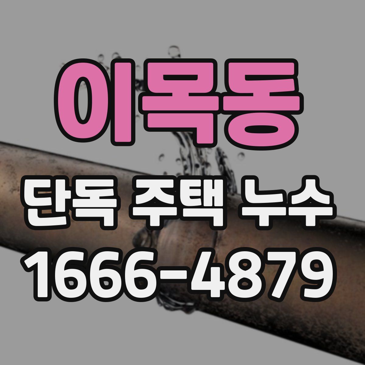 이목동 단독 주택 누수