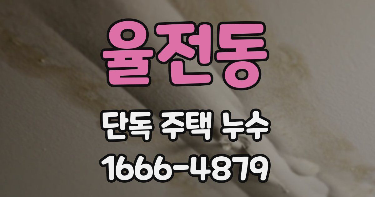 율전동 단독 주택 누수