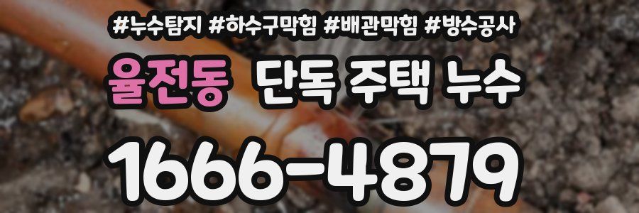율전동 단독 주택 누수