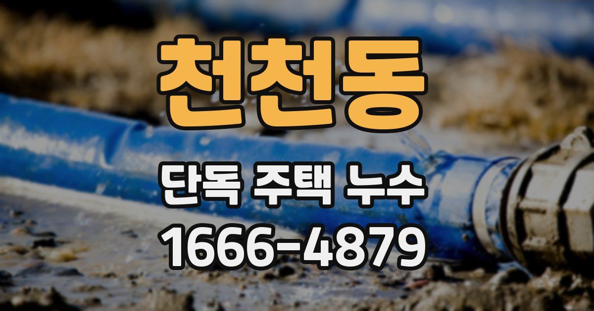 천천동 단독 주택 누수
