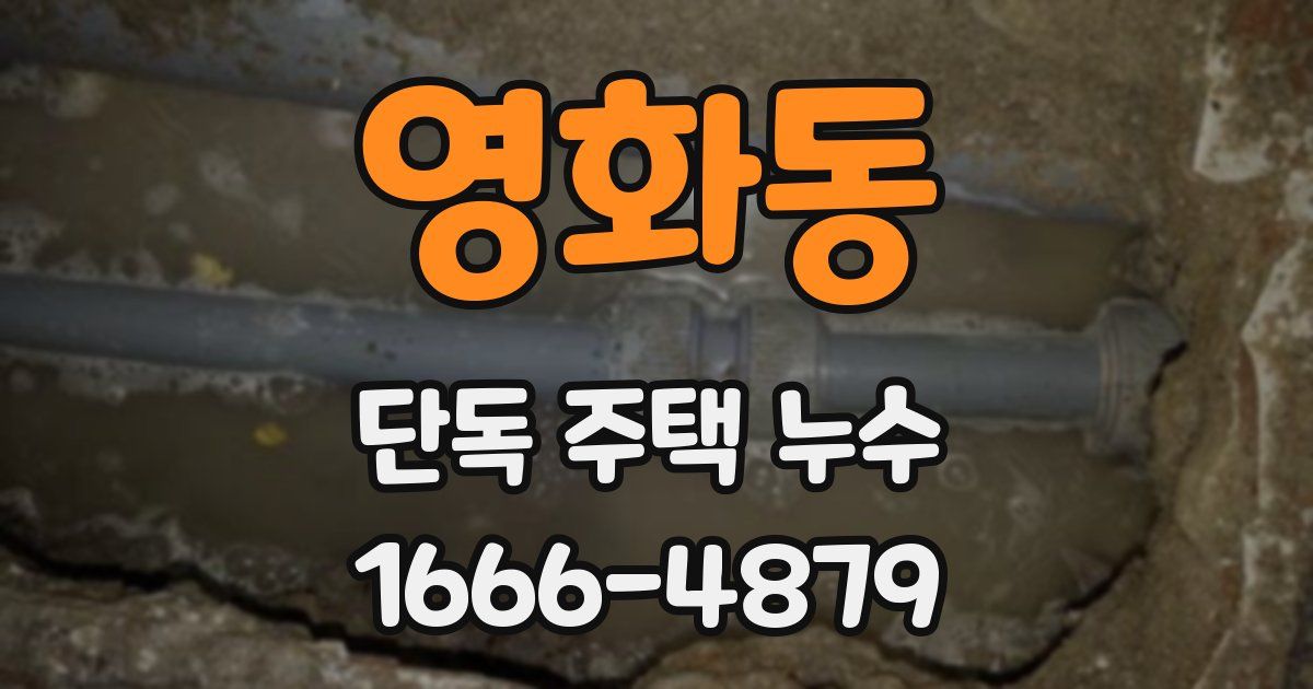 영화동 단독 주택 누수