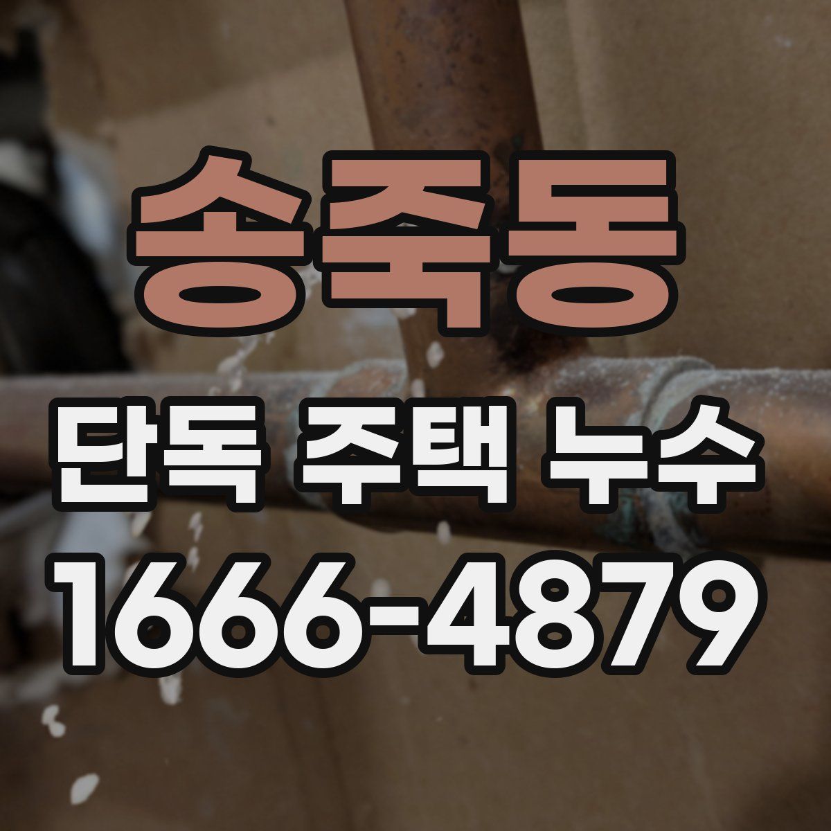 송죽동 단독 주택 누수