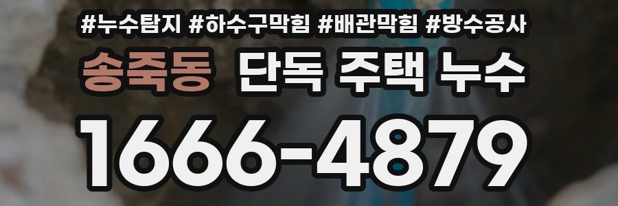 송죽동 단독 주택 누수