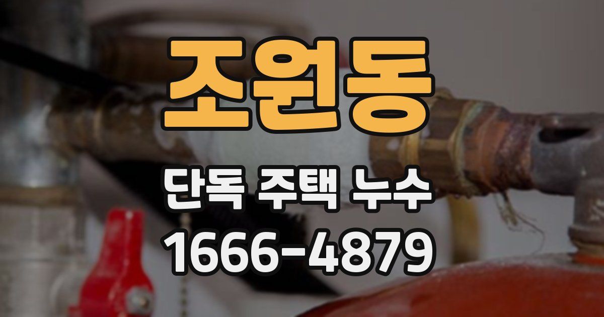 조원동 단독 주택 누수