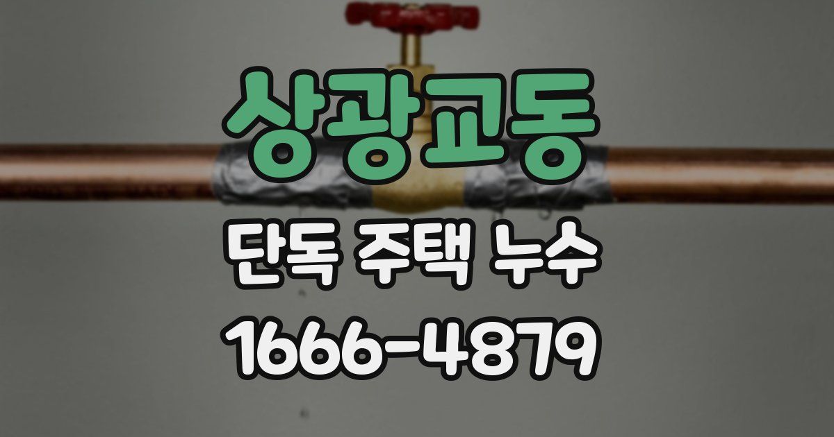 상광교동 단독 주택 누수