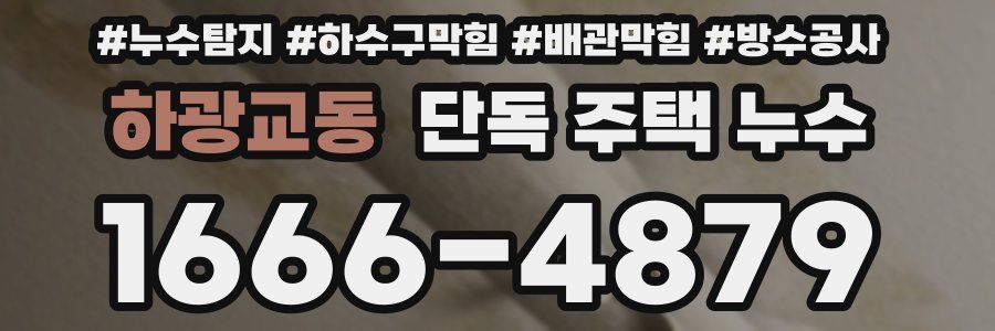 하광교동 단독 주택 누수