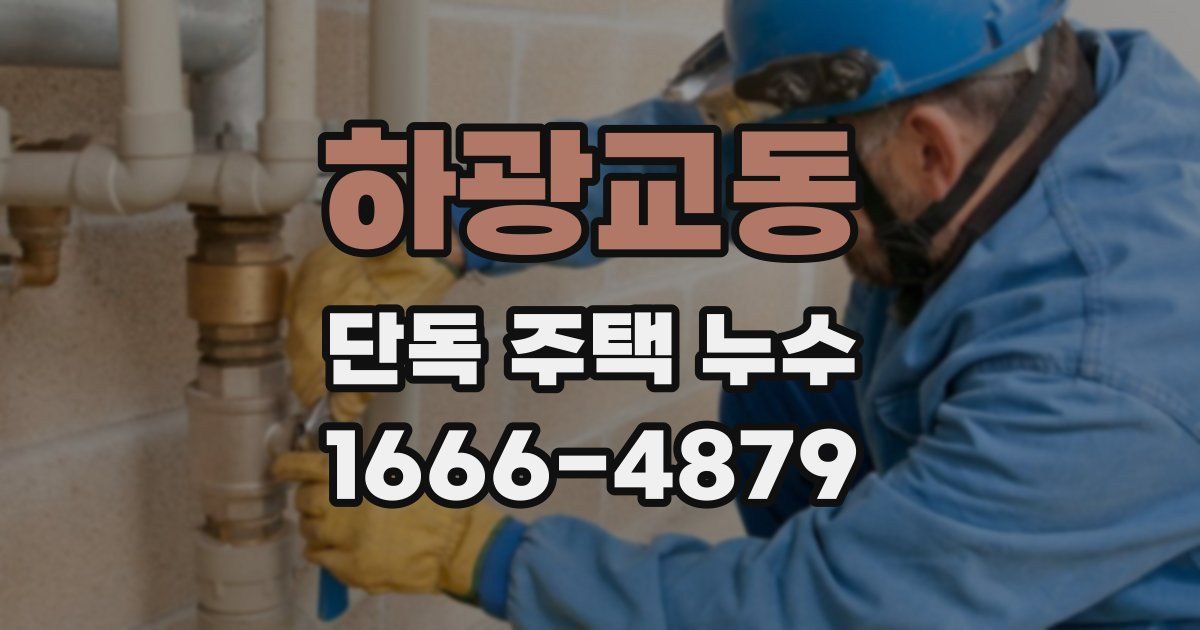 하광교동 단독 주택 누수