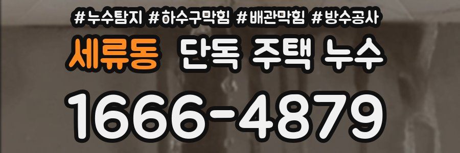 세류동 단독 주택 누수