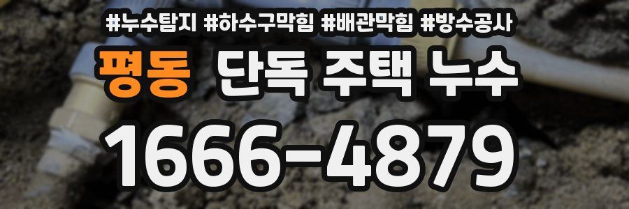 평동 단독 주택 누수