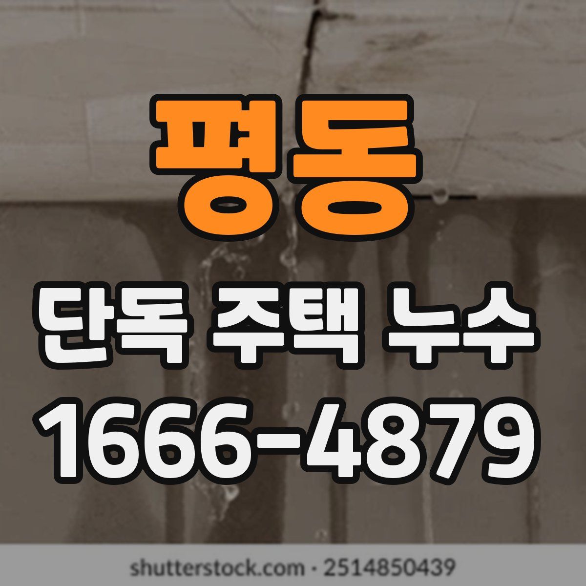 평동 단독 주택 누수