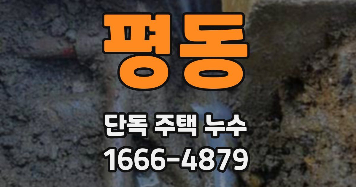 평동 단독 주택 누수