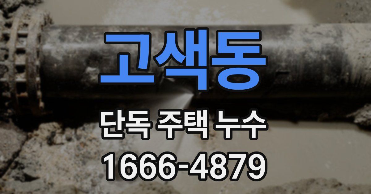 고색동 단독 주택 누수