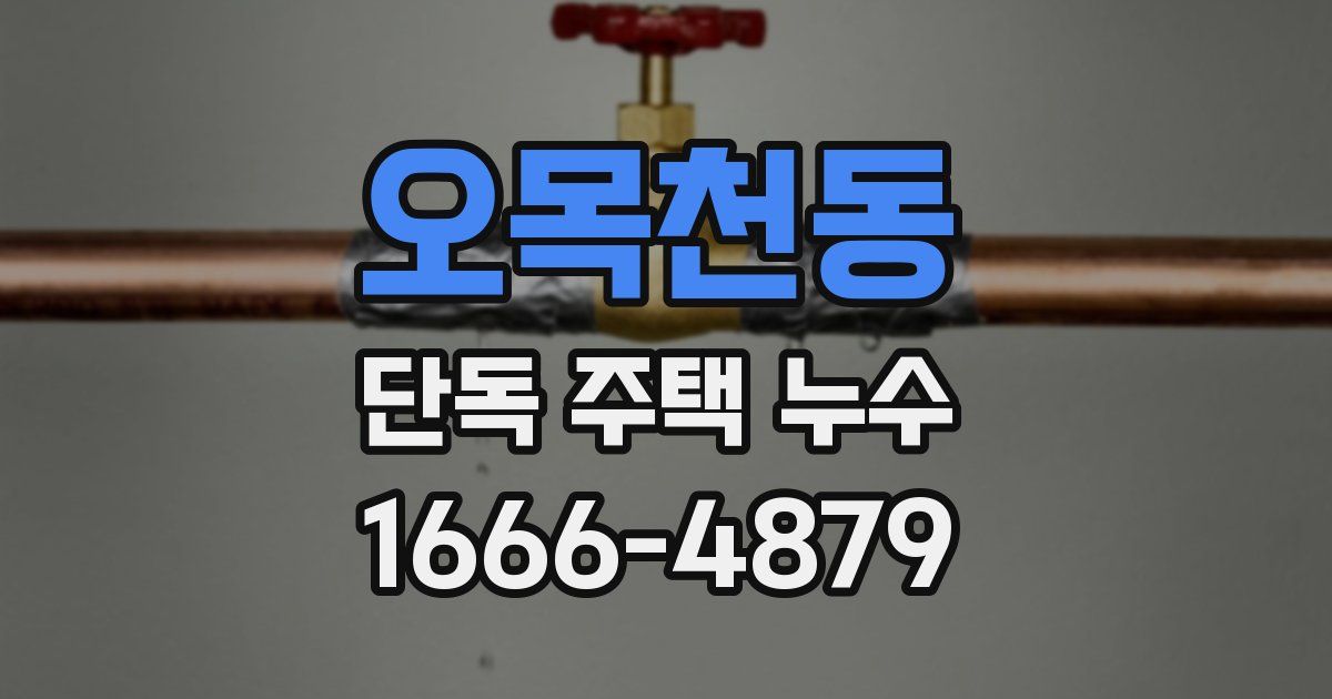 오목천동 단독 주택 누수