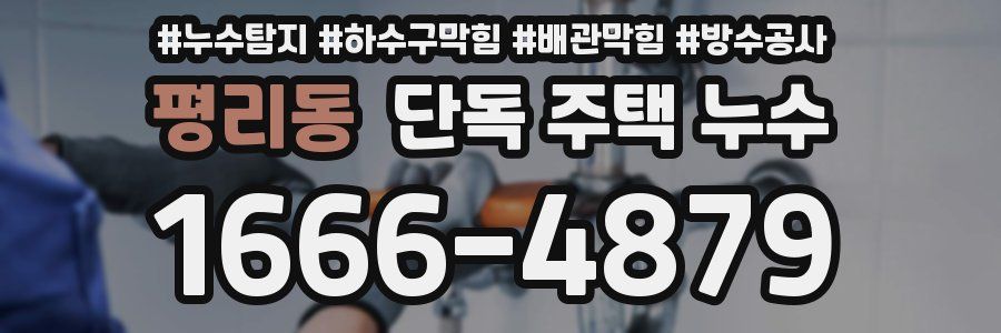 평리동 단독 주택 누수