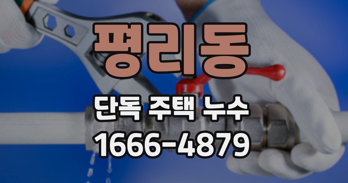 평리동 단독 주택 누수