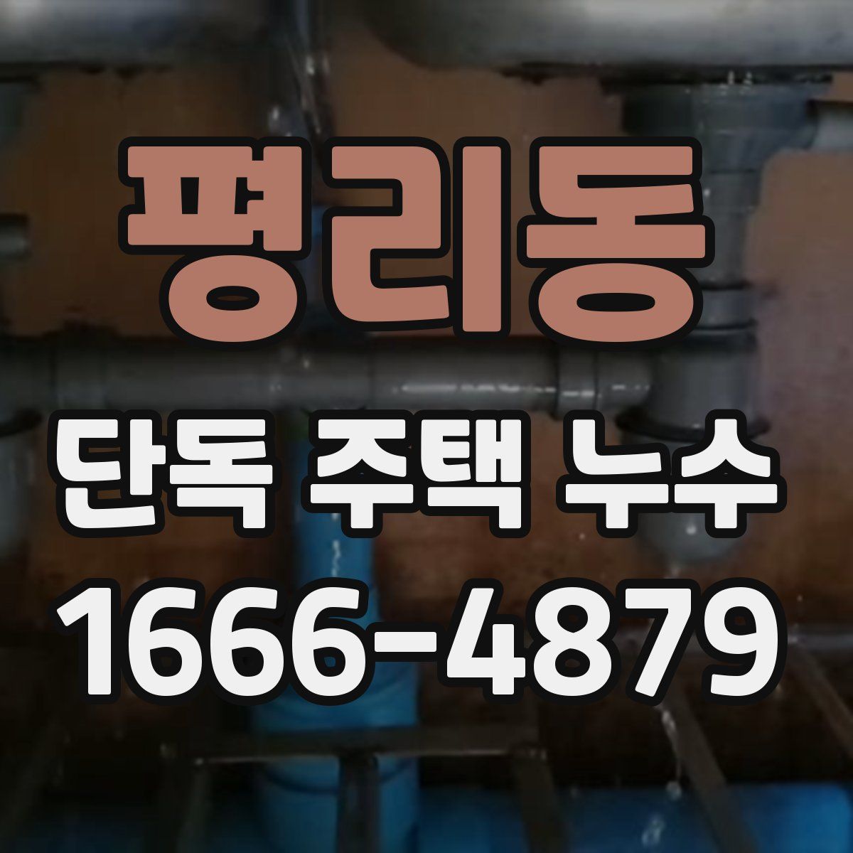 평리동 단독 주택 누수